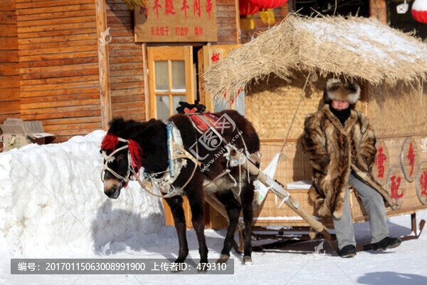 馬,雪橇,馬爬犁,雪地,馬車