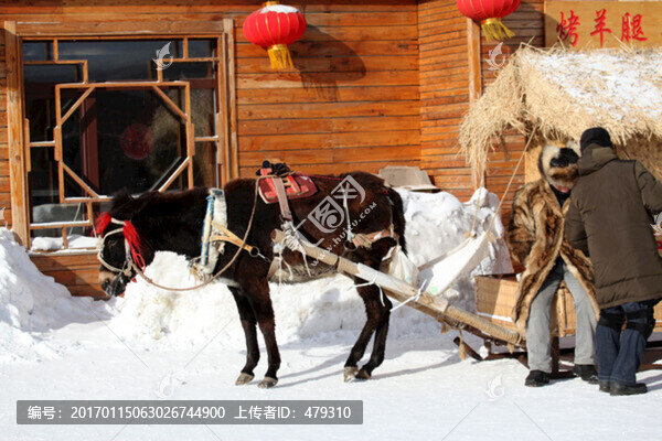 馬,雪橇,馬爬犁