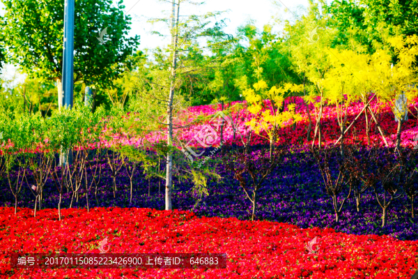花海,花地,花園