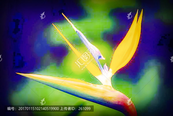 裝飾畫