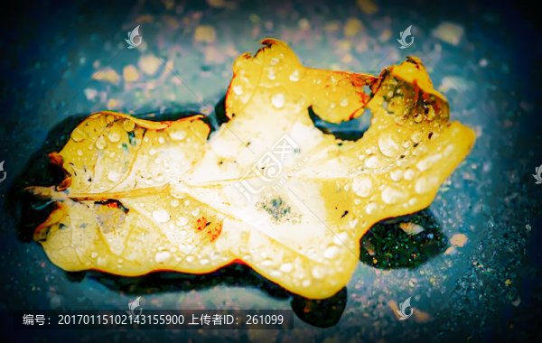 裝飾畫(huà)