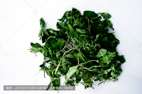薄荷葉