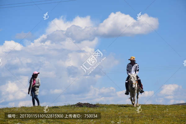 草原上的情侶
