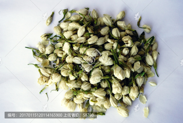 茉莉花