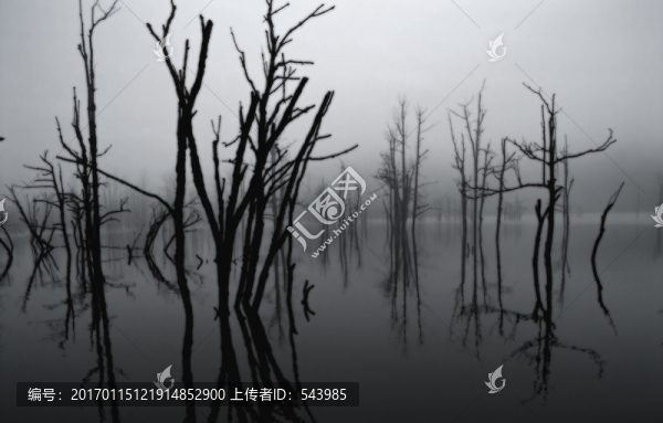 安靜寂靜
