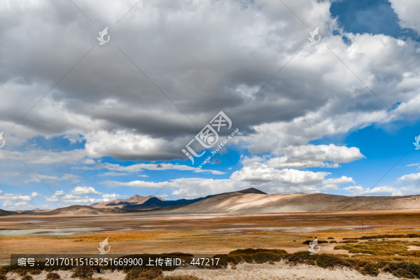 青藏高原濕地