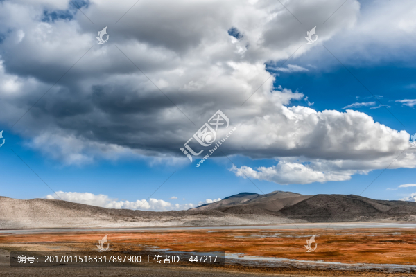 青藏高原濕地