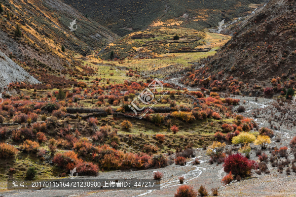 青藏高原濕地