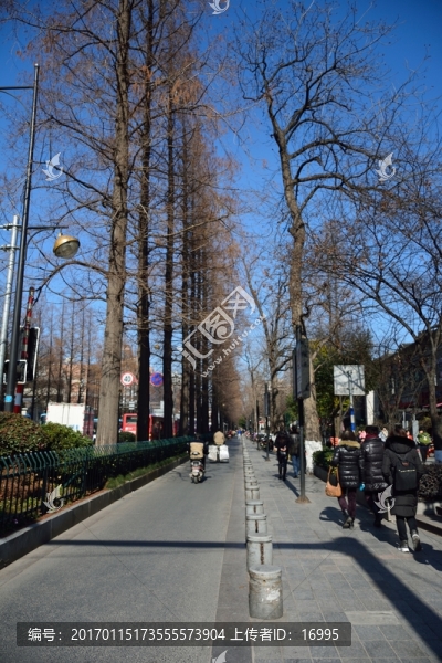 南京冬日街道