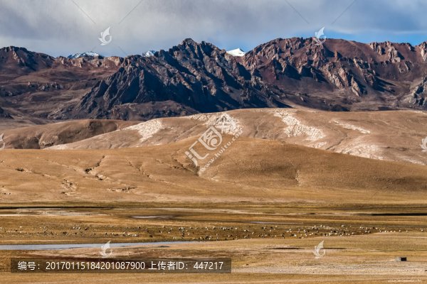 青藏高原濕地