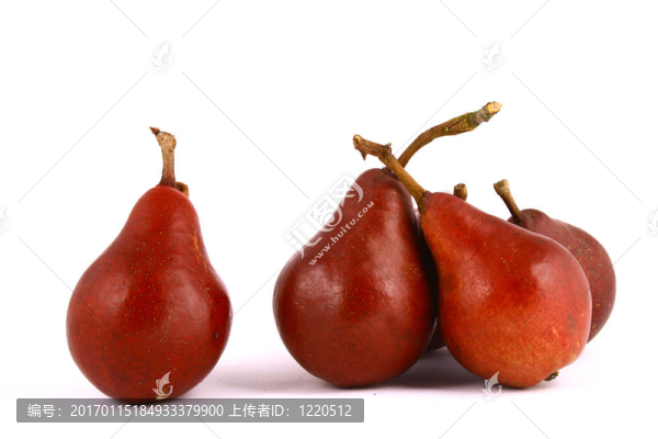 梨-匯圖網(wǎng) www.fosd68.com 梨