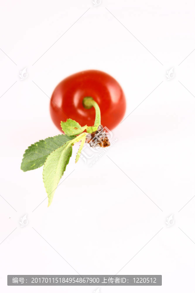 櫻桃