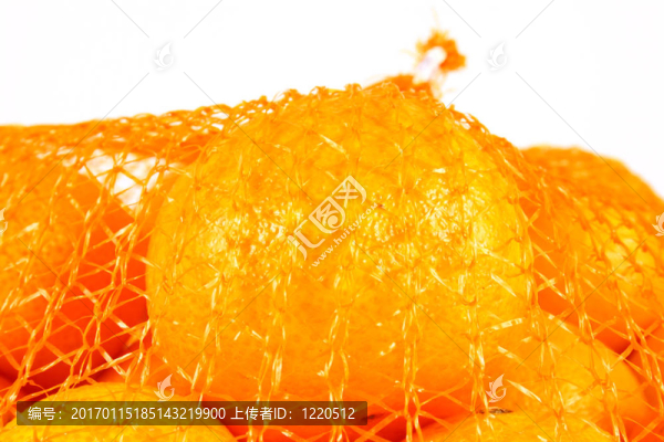 橘子收成時(shí)