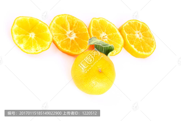 橘子收成時(shí)