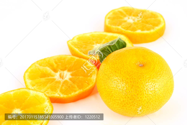 橘子收成時