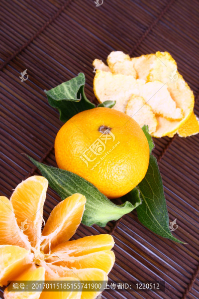 橘子收成時