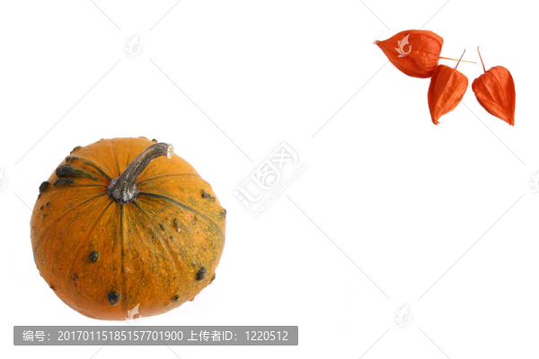 明亮的橙色南瓜白色背景與復(fù)制空間
