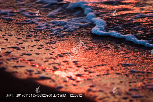 海