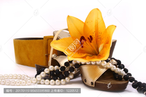 帶白色背景的金鞋腰帶
