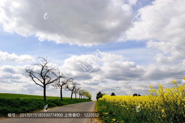 走道
