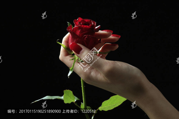把美
