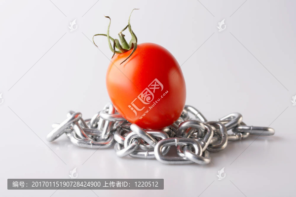 紅蕃茄的想象