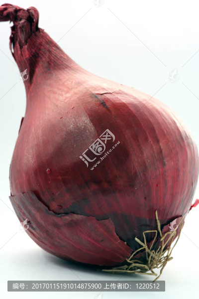 紅色和黃色的洋蔥分離和提純