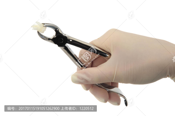 齒