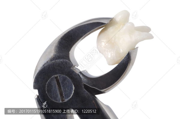 齒