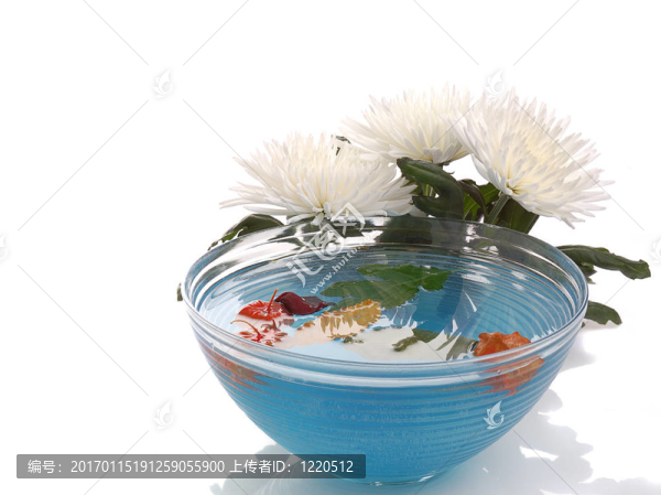 植物區(qū)系成分
