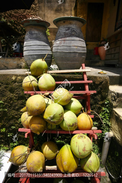 cocoes
