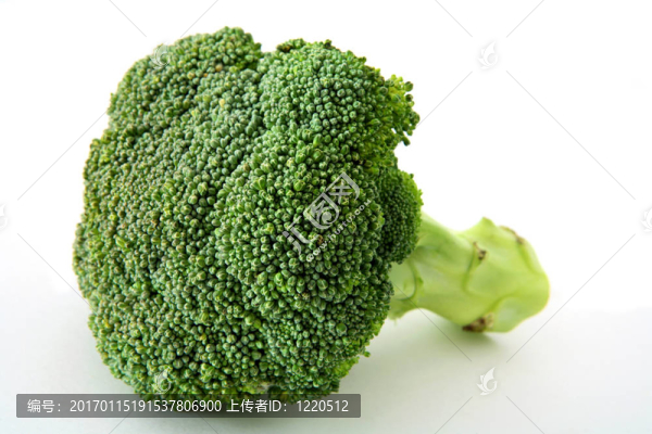 白色新鮮花椰菜