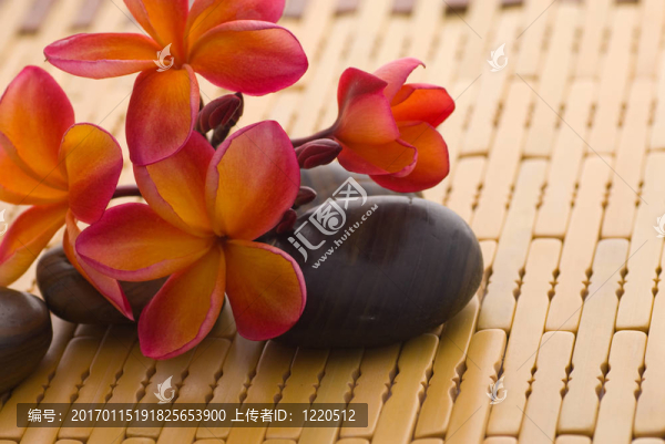 雞蛋在石頭上