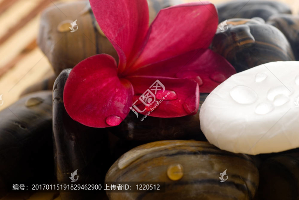 芳香療法和SPA放松