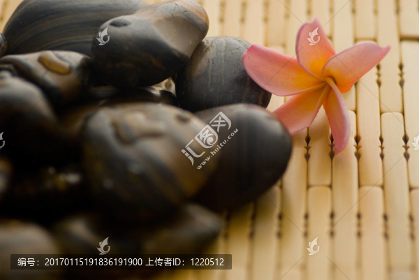 雞蛋花和光滑的石頭