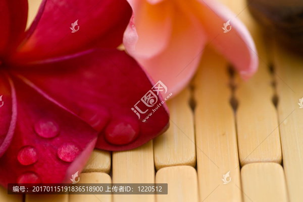 素馨花