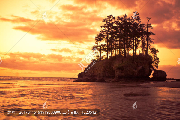 太平洋海岸的日落