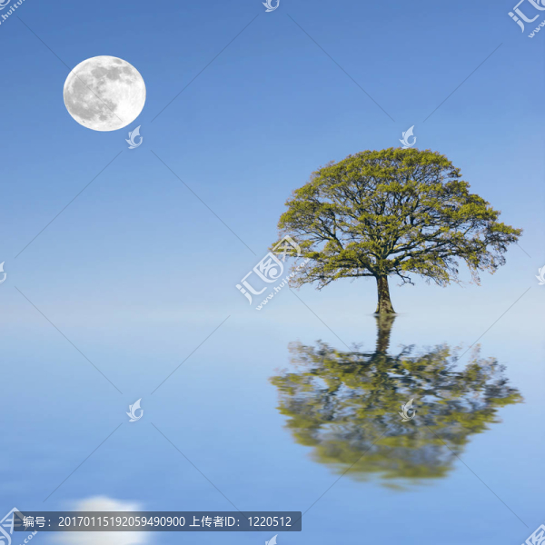 夏日的黃昏之美