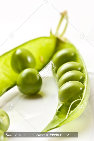 豌豆莢