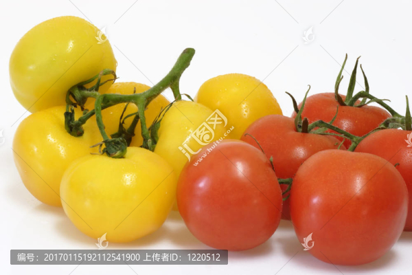 紅色和黃色的西紅柿