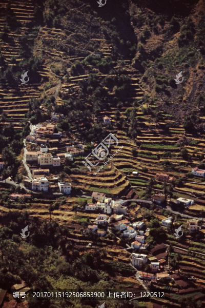 梯田Gomera