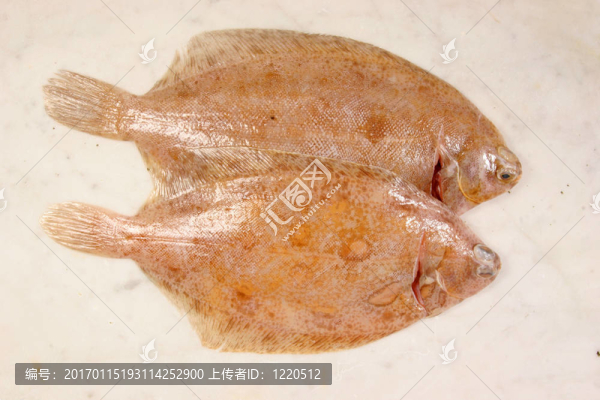 一對檸檬鞋底