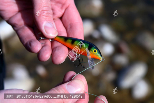 釣魚用的誘餌