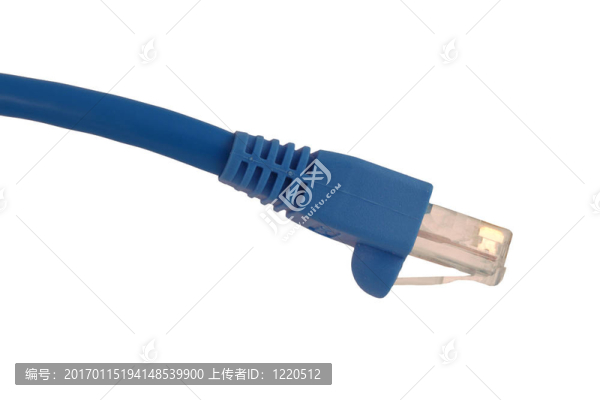 孤立的CAT5電纜上的白色