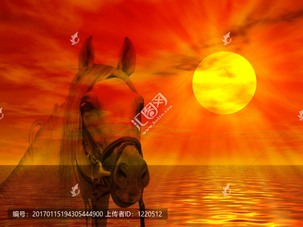 夕陽中的馬