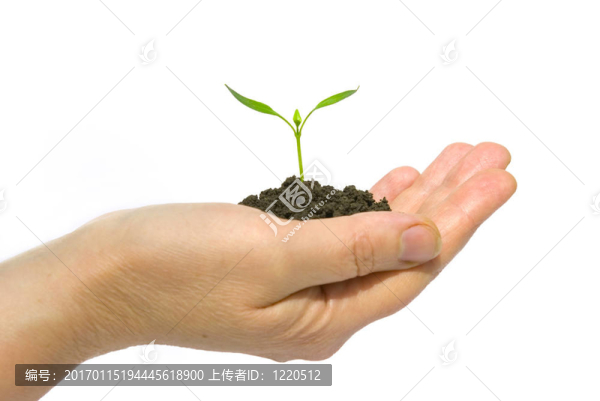 新的生活