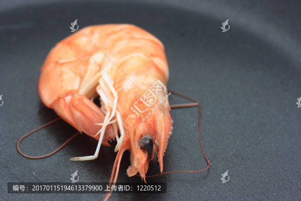平底鍋上的蝦