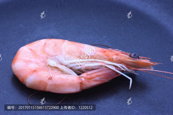 平底鍋上的蝦