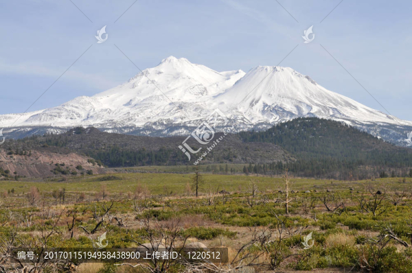夏斯塔山