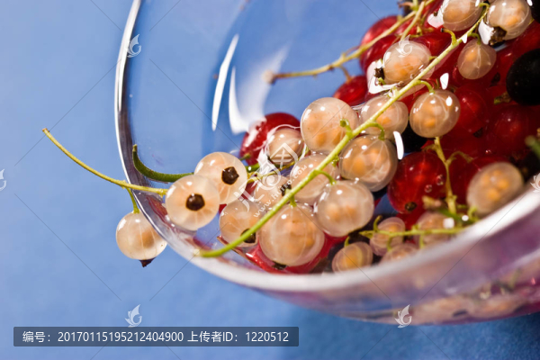 醋栗